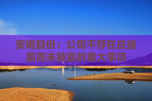 安妮股份：公司不存在应披露而未披露的重大事项