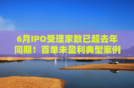 6月IPO受理家数已超去年同期！首单未盈利典型案例或本月出炉