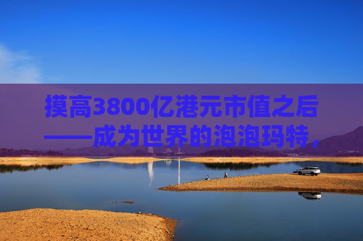 摸高3800亿港元市值之后——成为世界的泡泡玛特，王宁下一个LABUBU在哪里