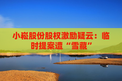 小崧股份股权激励疑云：临时提案遭“雪藏”