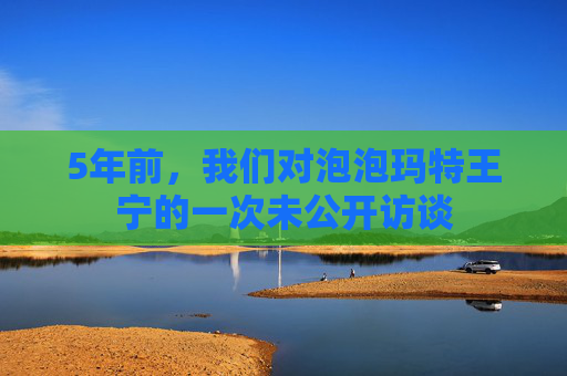 5年前，我们对泡泡玛特王宁的一次未公开访谈