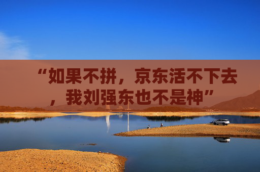 “如果不拼，京东活不下去，我刘强东也不是神”