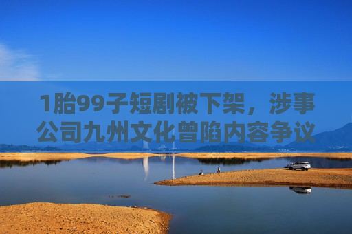 1胎99子短剧被下架，涉事公司九州文化曾陷内容争议