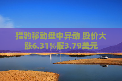 猎豹移动盘中异动 股价大涨6.31%报3.79美元