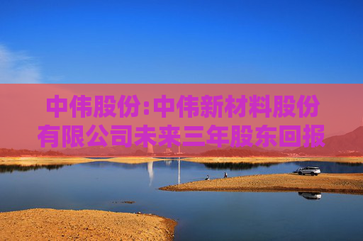 中伟股份:中伟新材料股份有限公司未来三年股东回报规划（2024-2026年）