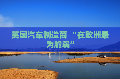 英国汽车制造商 “在欧洲最为脆弱”