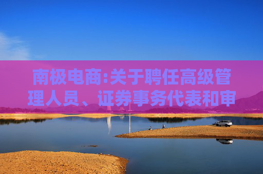 南极电商:关于聘任高级管理人员、证券事务代表和审计部负责人的公告