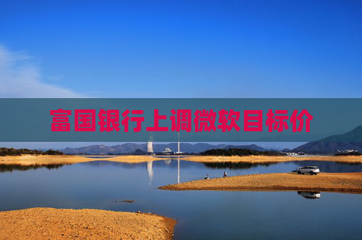 富国银行上调微软目标价