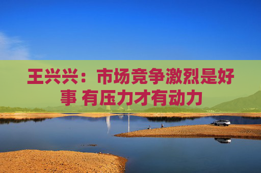 王兴兴：市场竞争激烈是好事 有压力才有动力