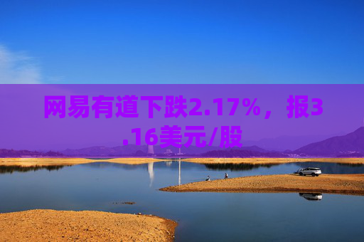 网易有道下跌2.17%，报3.16美元/股