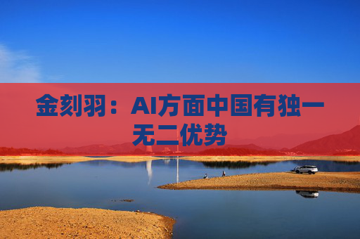 金刻羽：AI方面中国有独一无二优势