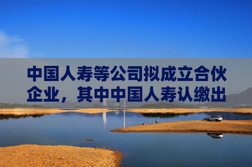 中国人寿等公司拟成立合伙企业，其中中国人寿认缴出资额为12亿元
