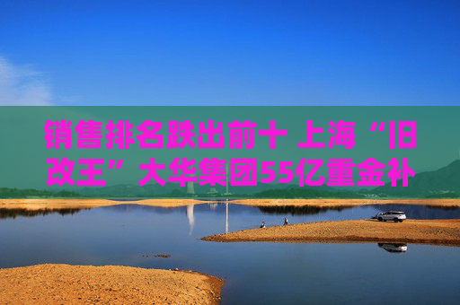 销售排名跌出前十 上海“旧改王”大华集团55亿重金补仓