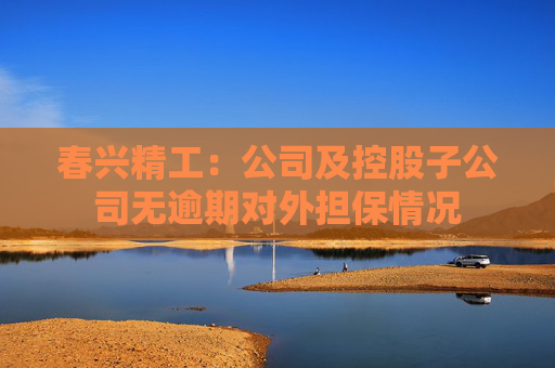春兴精工：公司及控股子公司无逾期对外担保情况