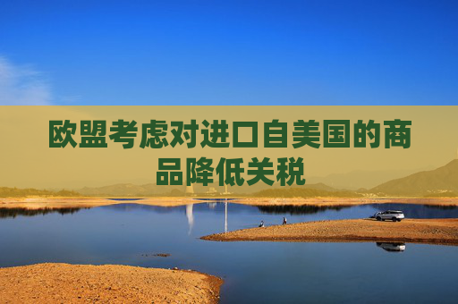 欧盟考虑对进口自美国的商品降低关税