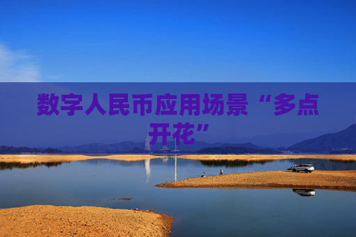 数字人民币应用场景“多点开花”