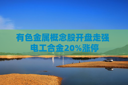 有色金属概念股开盘走强 电工合金20%涨停