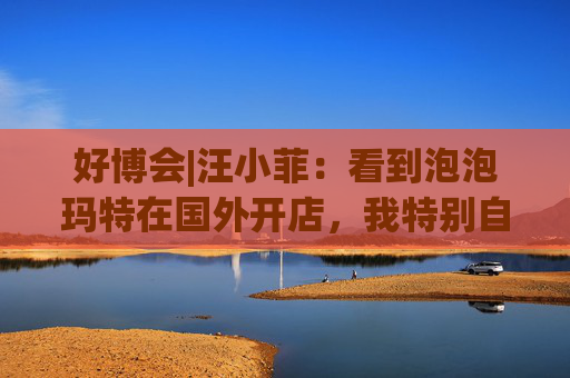 好博会|汪小菲：看到泡泡玛特在国外开店，我特别自豪
