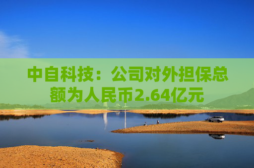 中自科技：公司对外担保总额为人民币2.64亿元