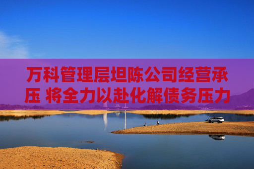 万科管理层坦陈公司经营承压 将全力以赴化解债务压力