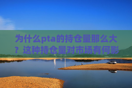 为什么pta的持仓量那么大？这种持仓量对市场有何影响？