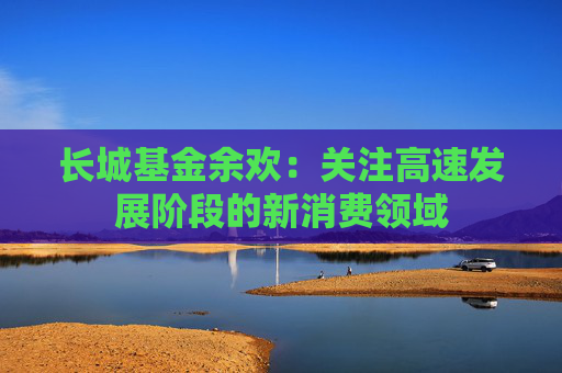 长城基金余欢：关注高速发展阶段的新消费领域