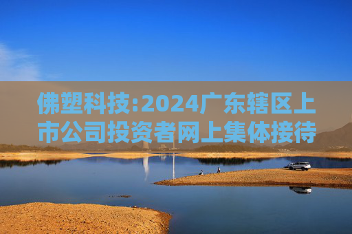 佛塑科技:2024广东辖区上市公司投资者网上集体接待日投资者关系活动记录表