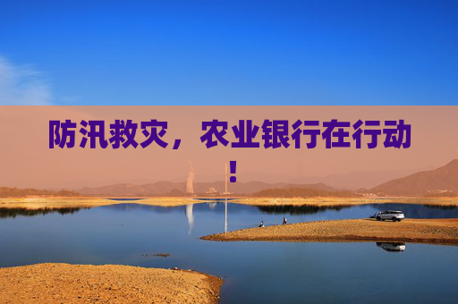 防汛救灾，农业银行在行动！