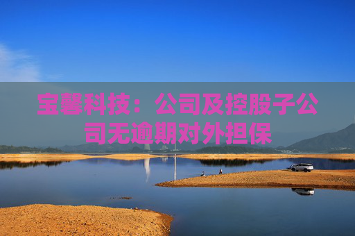 宝馨科技：公司及控股子公司无逾期对外担保