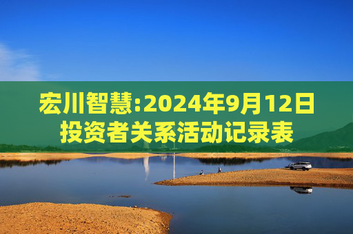 宏川智慧:2024年9月12日投资者关系活动记录表