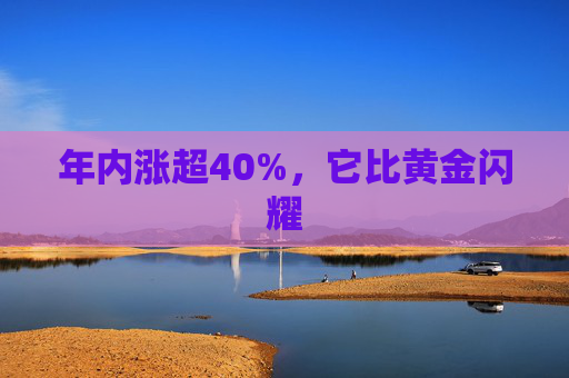 年内涨超40%，它比黄金闪耀