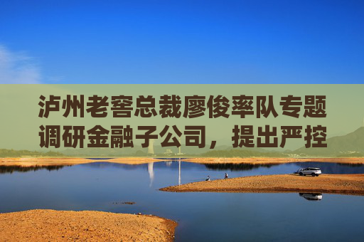 泸州老窖总裁廖俊率队专题调研金融子公司，提出严控流动性风险