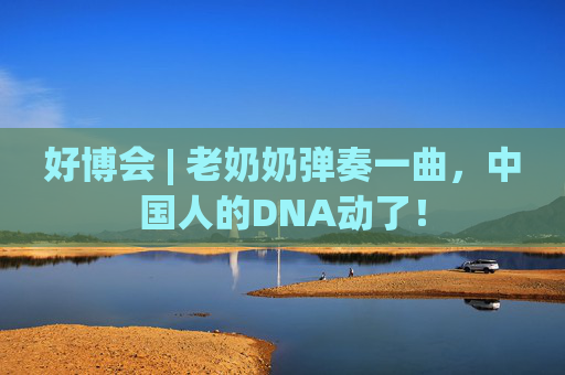 好博会 | 老奶奶弹奏一曲，中国人的DNA动了！