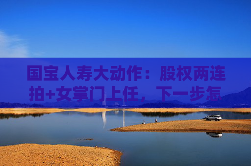 国宝人寿大动作：股权两连拍+女掌门上任，下一步怎么走？
