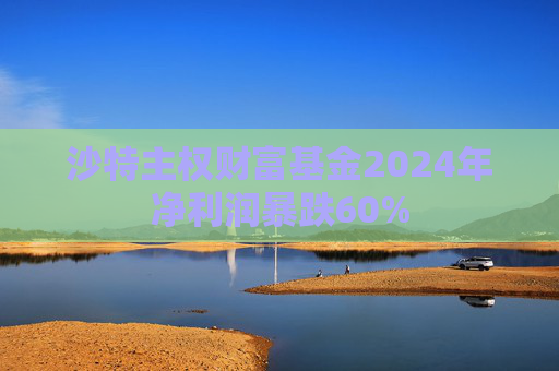 沙特主权财富基金2024年净利润暴跌60%
