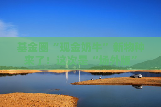 基金圈“现金奶牛”新物种来了！这次是“场外版”