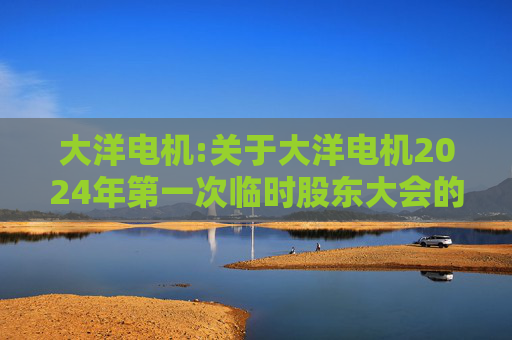 大洋电机:关于大洋电机2024年第一次临时股东大会的法律意见书