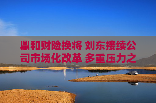 鼎和财险换将 刘东接续公司市场化改革 多重压力之下直面2025百亿保费目标