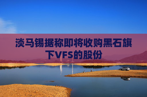 淡马锡据称即将收购黑石旗下VFS的股份