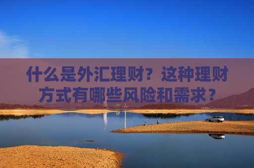 什么是外汇理财？这种理财方式有哪些风险和需求？