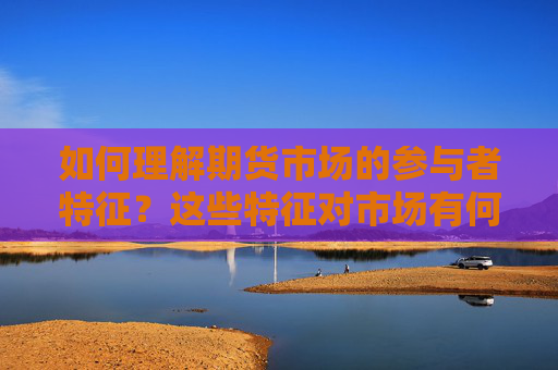 如何理解期货市场的参与者特征？这些特征对市场有何影响？