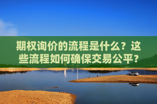 期权询价的流程是什么？这些流程如何确保交易公平？
