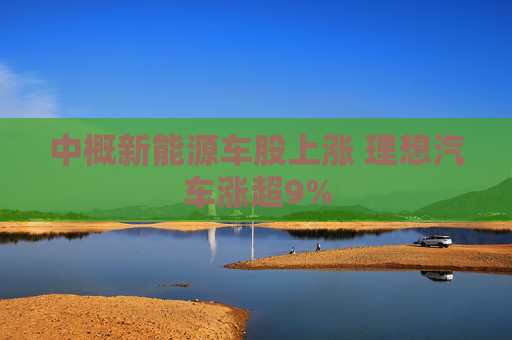 中概新能源车股上涨 理想汽车涨超9%