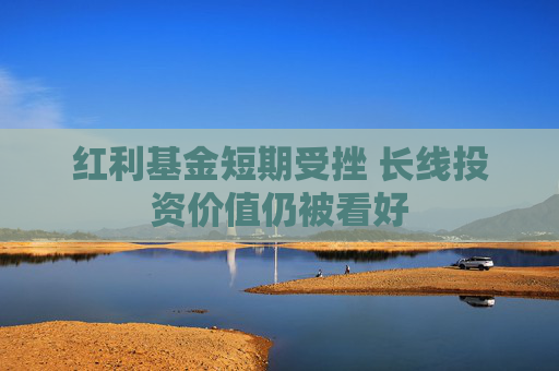 红利基金短期受挫 长线投资价值仍被看好