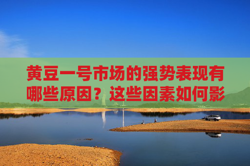 黄豆一号市场的强势表现有哪些原因？这些因素如何影响投资者的决策？