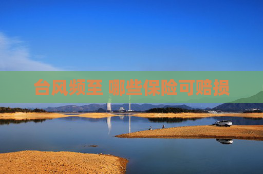 台风频至 哪些保险可赔损