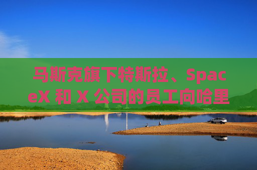 马斯克旗下特斯拉、SpaceX 和 X 公司的员工向哈里斯捐款 而他本人支持特朗普