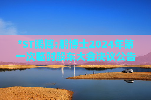 *ST鹏博:鹏博士2024年第一次临时股东大会决议公告