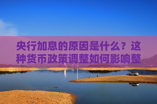 央行加息的原因是什么？这种货币政策调整如何影响整体经济环境？
