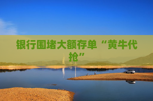 银行围堵大额存单“黄牛代抢”